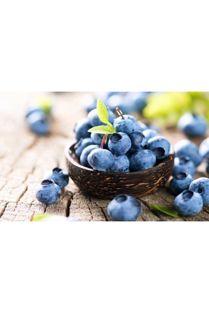 Лохина високоросла Flamingo ціна